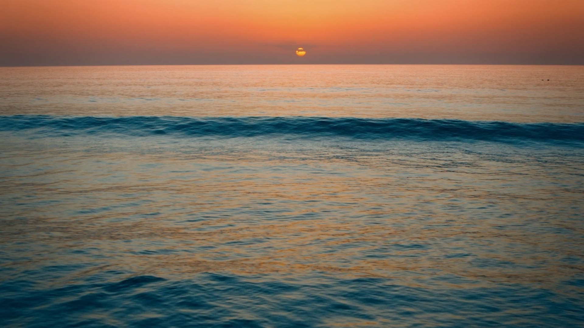 zoomed image